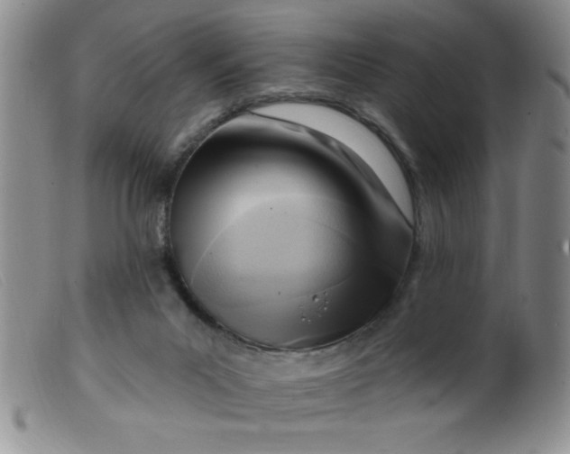 X0000099480023200805231906