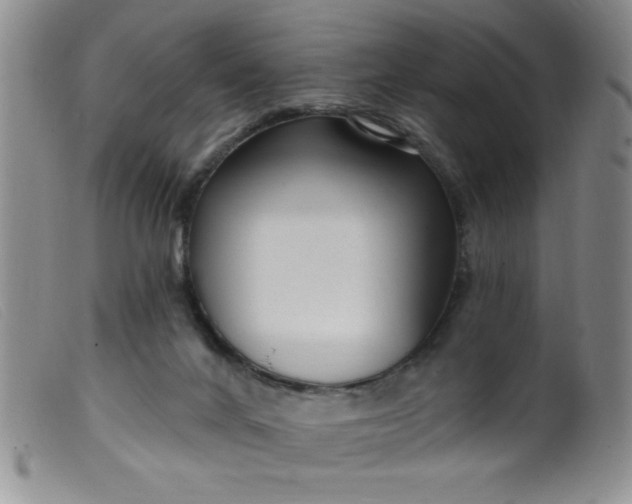 X0000099480024200805231906