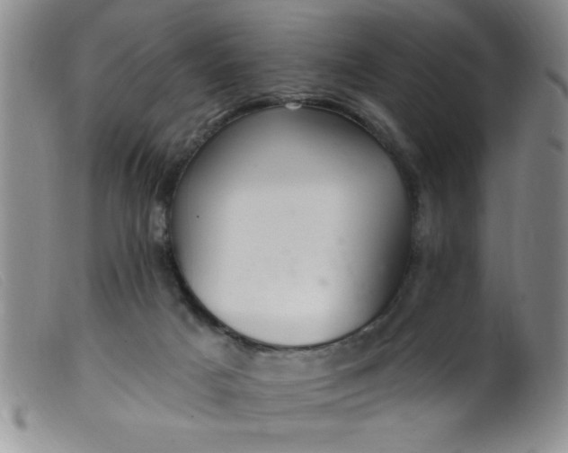 X0000099480025200805231906