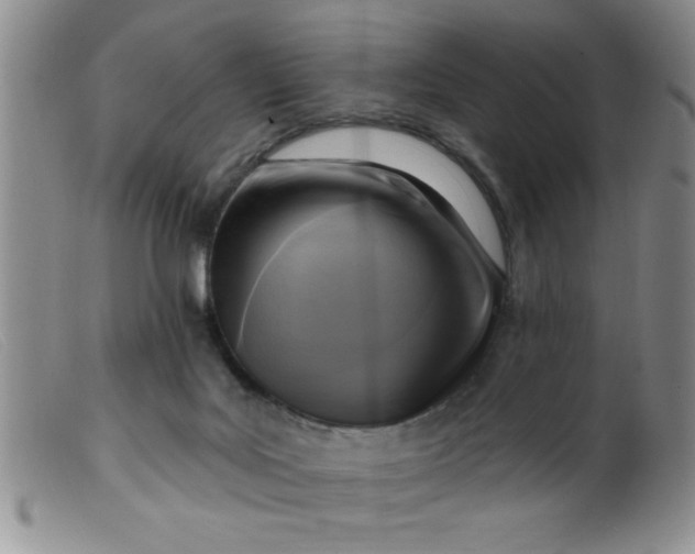 X0000099480027200805231906
