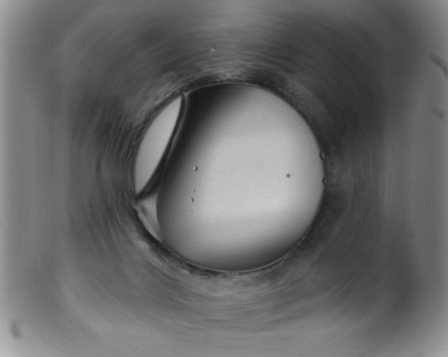 X0000099480028200805231906