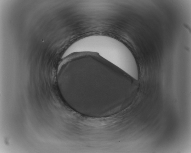 X0000099480029200805231906