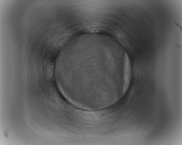 X0000099480030200805231906