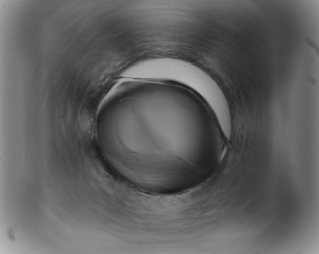 X0000099480031200805231906