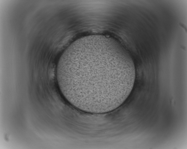 X0000099480032200805231906