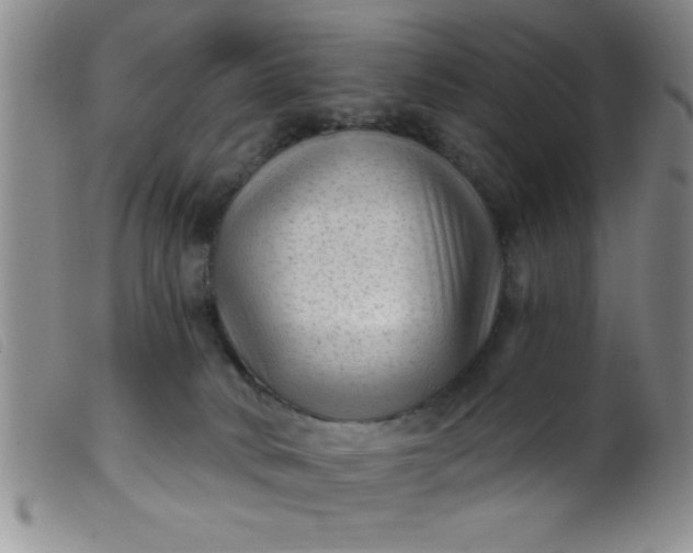 X0000099480034200805231906
