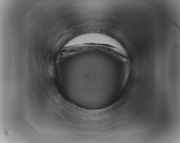 X0000099480035200805231906