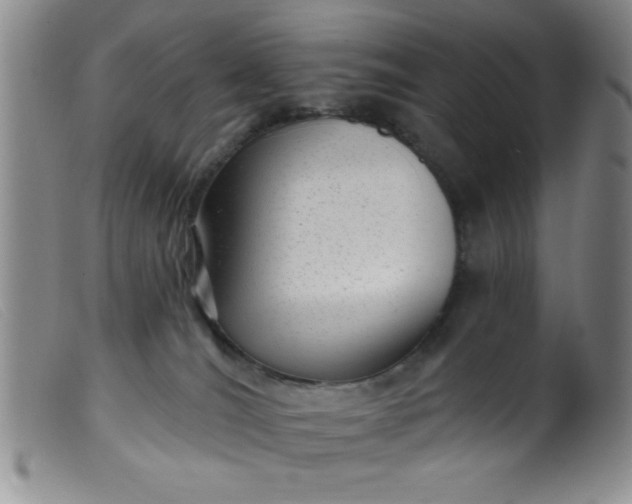X0000099480036200805231906