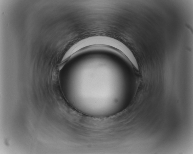 X0000099480037200805231906