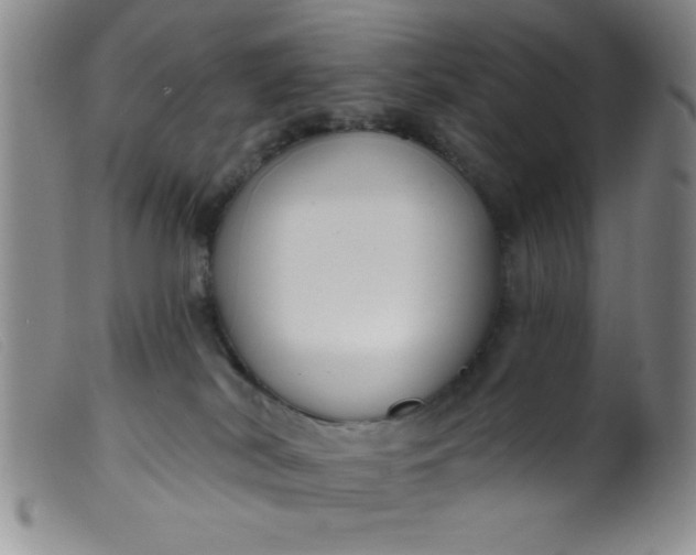 X0000099480038200805231906