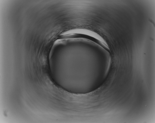 X0000099480039200805231906