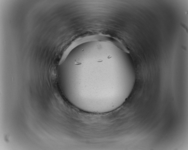 X0000099480040200805231906