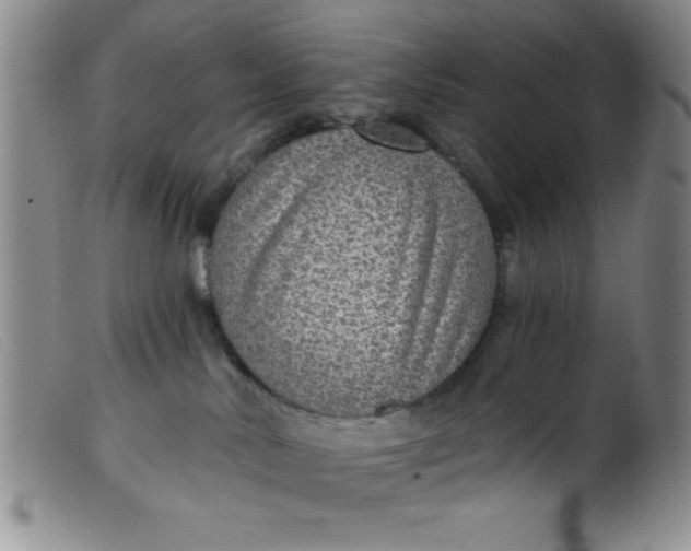 X0000099480042200805231905