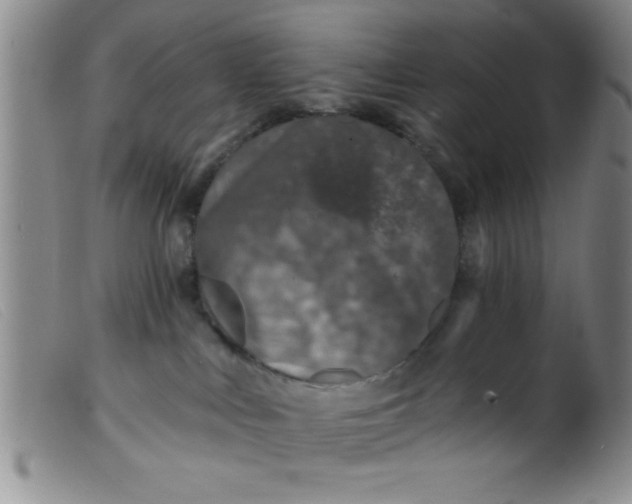 X0000099480043200805231905