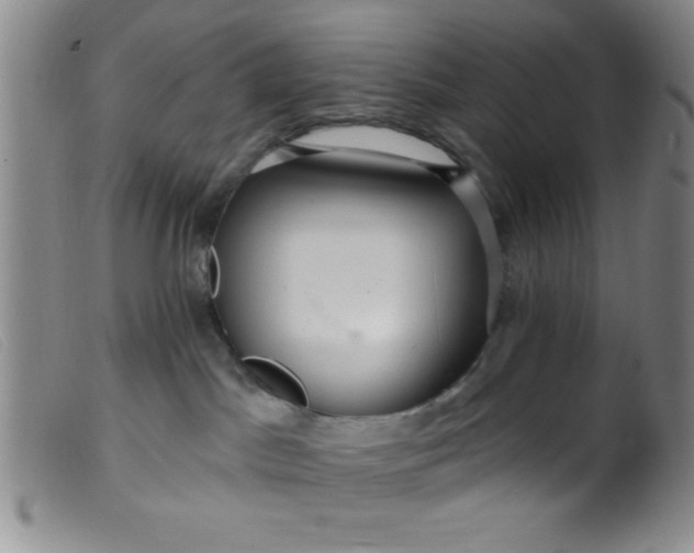 X0000099480045200805231905
