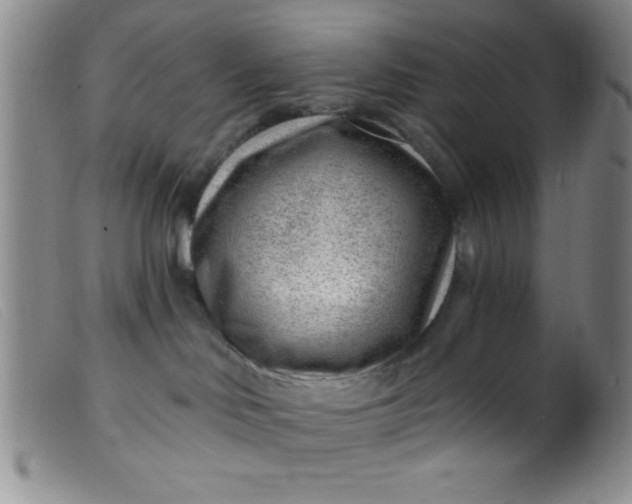 X0000099480046200805231905