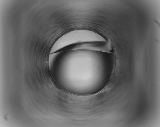 X0000099480048200805231905