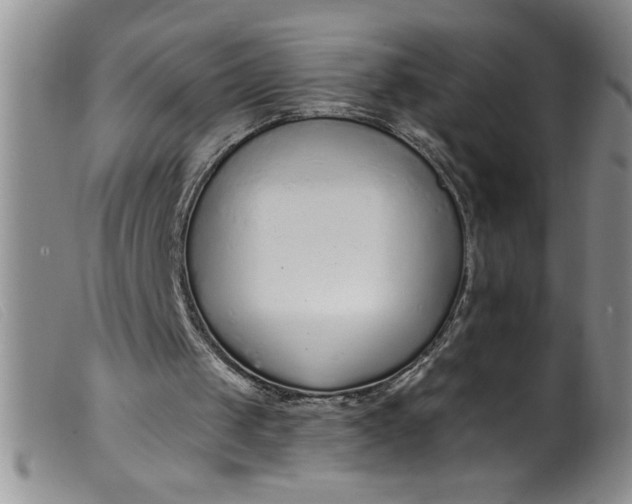 X0000099480049200805231905