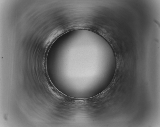 X0000099480050200805231905