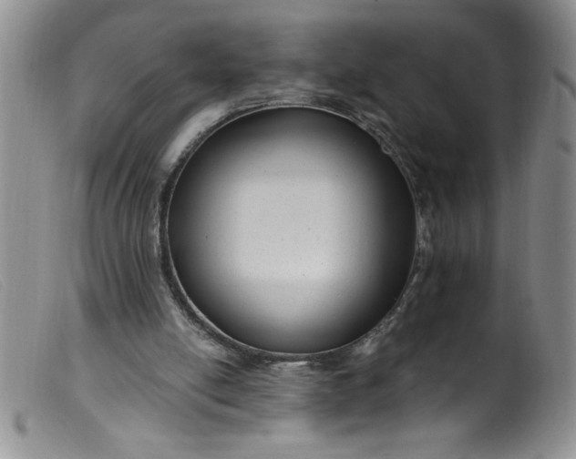 X0000099480054200805231905