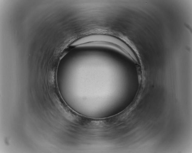 X0000099480057200805231905