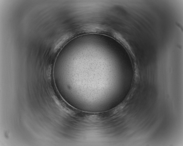 X0000099480058200805231905