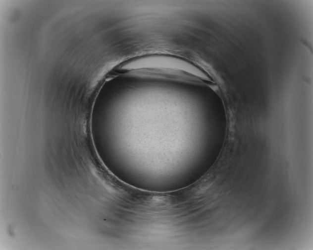 X0000099480060200805231905