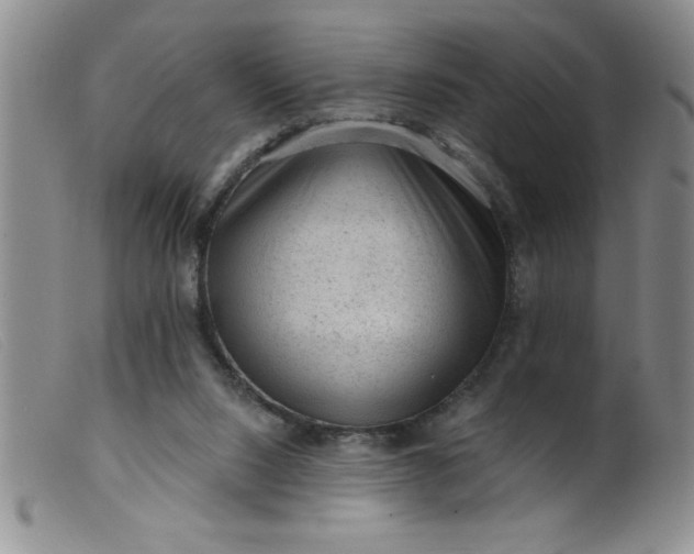 X0000099480064200805231905