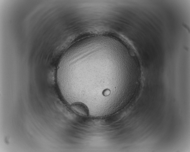 X0000099480065200805231905