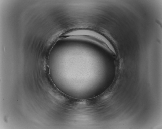 X0000099480068200805231905