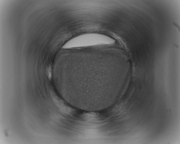 X0000099480069200805231905