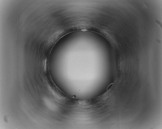 X0000099480070200805231905