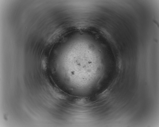 X0000099480074200805231905