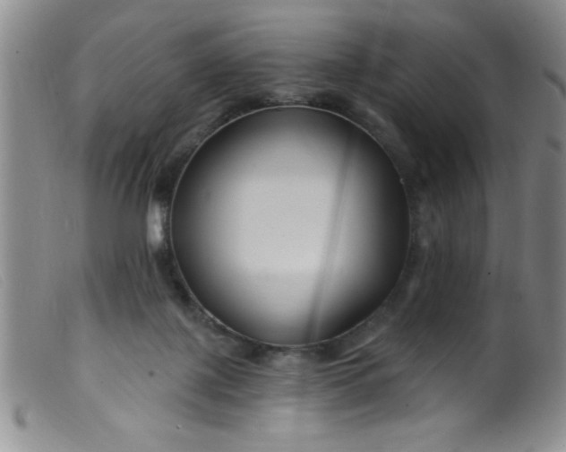 X0000099480075200805231905