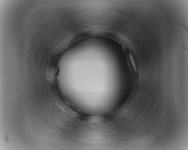 X0000099480077200805231905