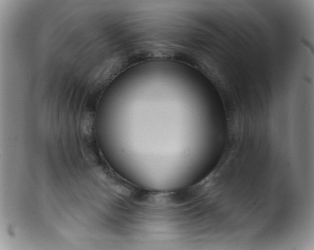 X0000099480078200805231905