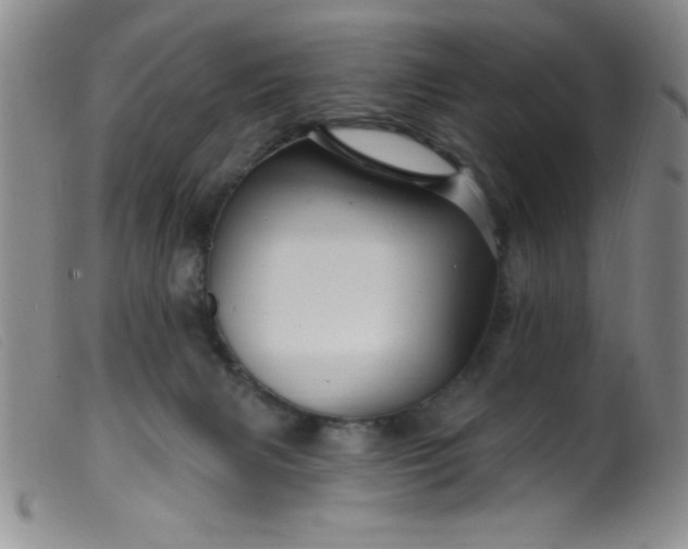 X0000099480079200805231905
