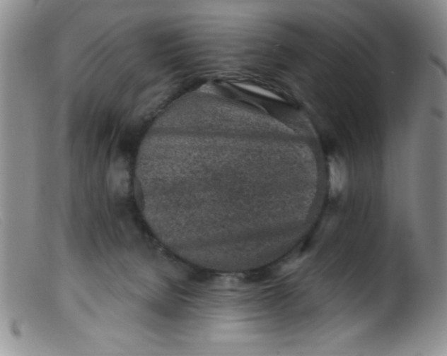 X0000099480080200805231905