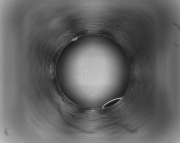 X0000099480082200805231905