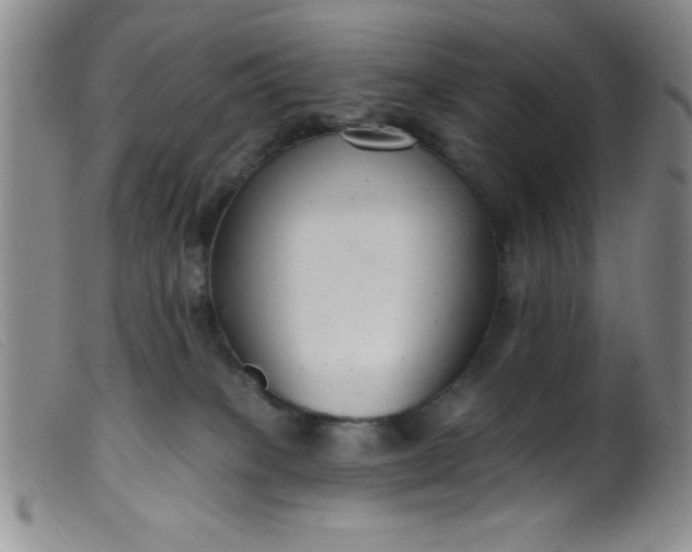 X0000099480085200805231905