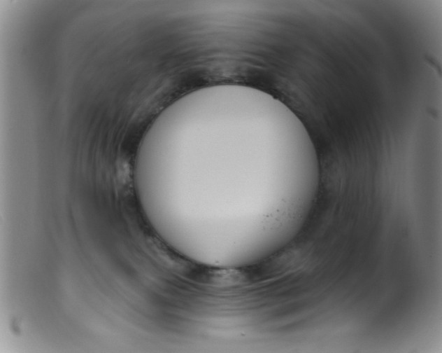 X0000099480087200805231905