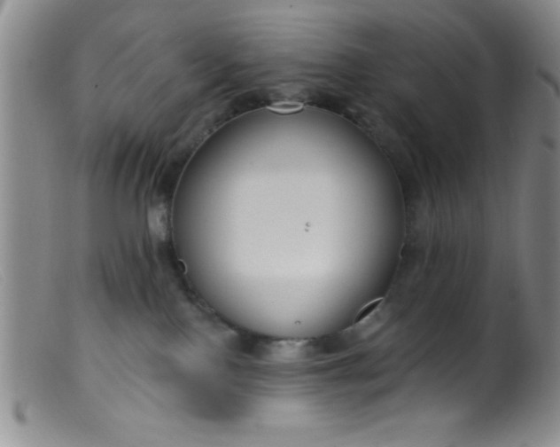 X0000099480090200805231905