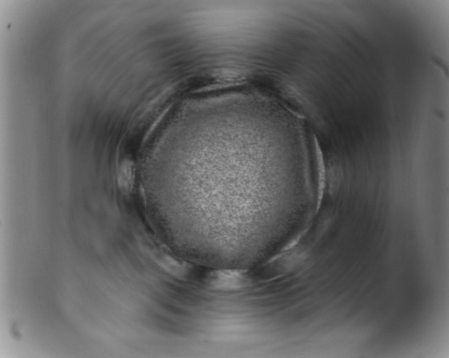 X0000099480093200805231905