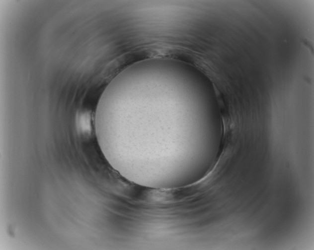 X0000099480094200805231905