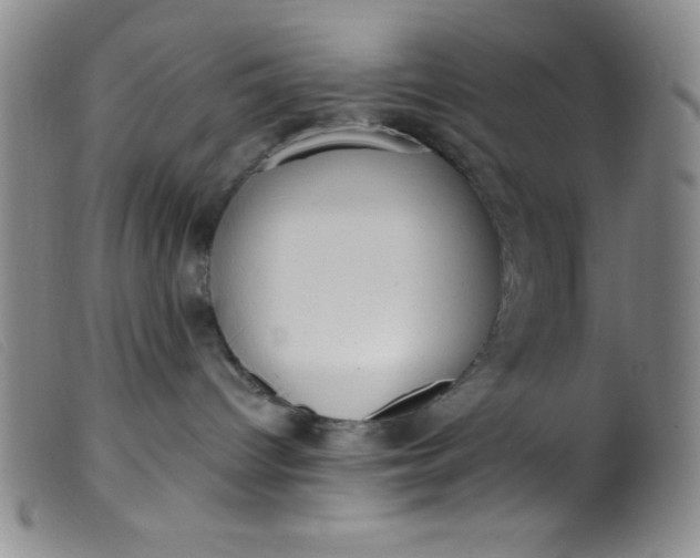 X0000099480096200805231905