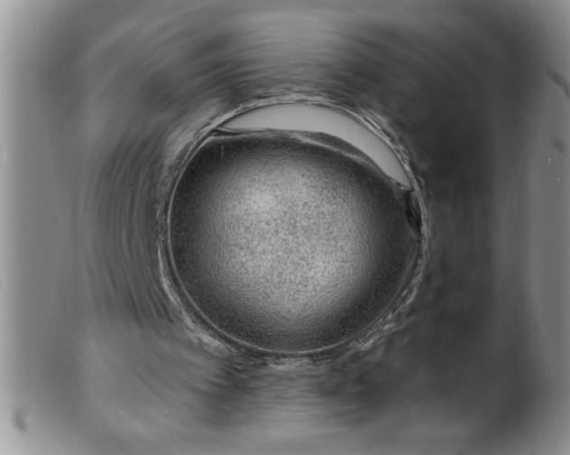 X0000099480097200805231905