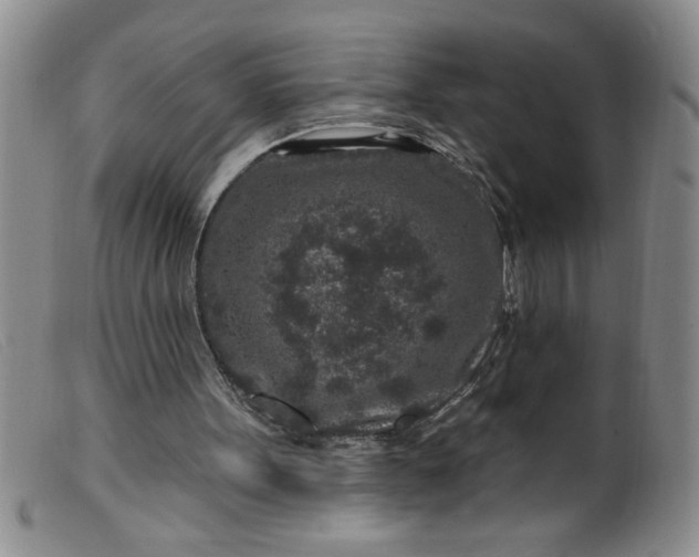 X0000099480099200805231905