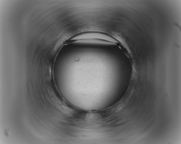 X0000099480109200805231905