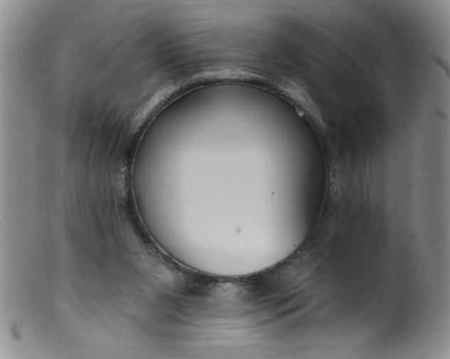 X0000099480111200805231905