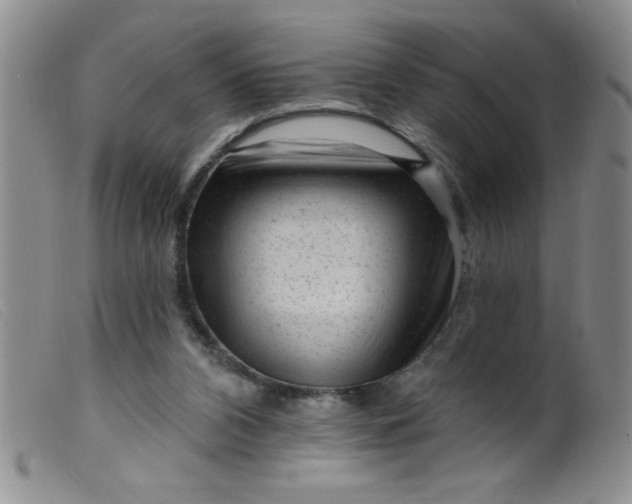 X0000099480112200805231904